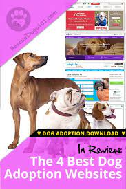 The 4 Best Adoption Websites For Dogs Dog Adoption Adoption Websites Best Dogs