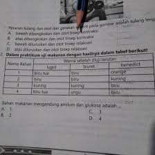 Maybe you would like to learn more about one of these? Bahan Makanan Mengandung Amilum Dan Glukosa Adalah Brainly Co Id