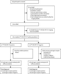 In a ct scan, you can see the broad pictures of all tissues and organs present in the body. Diagnostic Accuracy And Safety Of 16a 18f Fluoro 17b Oestradiol Pet Ct For The Assessment Of Oestrogen Receptor Status In Recurrent Or Metastatic Lesions In Patients With Breast Cancer A Prospective Cohort Study The Lancet Oncology