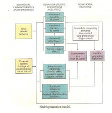 Health Promotion And Wellness Health Promotion Health Communication Fundamentals Of Nursing