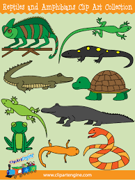 Our Reptiles And Amphibians Clip Art Collection Is A Set Of Royalty Free Vector Graphics That Includes A Personal And Reptiles Clip Art Reptiles And Amphibians