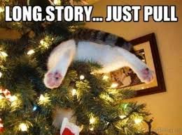 Merry Christmas Meme Humor Funny Cat Christmas Tree Christmas Cat Memes Christmas Cats