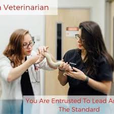 Последние твиты от barnsley vets4pets (@barnsleyv4p). The Pet Vet Jobs Glassdoor
