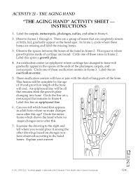 Automatically make stunning handwriting worksheets saving you hours of time! Activity 21 The Aging Hand The Aging Hand Chegg Com