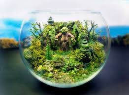Yoda Deluxe Zen Garden Dagobah Terrarium Diorama Terrarium Desk Plants Zen Garden