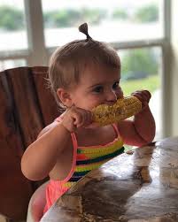 Someone is back in their happy place 😁🌽❤️