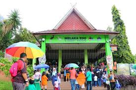 3 tahun percuma harga termasuk tram. Zoo Melaka Malacca Zoo And Night Safari Melaka Tickets Tours Book Now