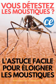 Marre Des Moustiques Ce Truc Facile Les Empechera De Gacher Vos Soirees D Ete Recette Moustique Comment Eloigner Les Moustiques Piege A Moustiques