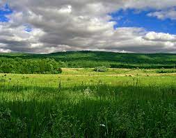 We did not find results for: New Jersey State Nickname The Garden State