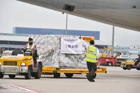 ENVIRONMENTAL, SOCIAL AND GOVERNANCE REPORT 2020