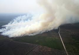 All quarters are advised against conducting open burning or allowing their land or premises to be encroached by irresponsible people who resort to open burning intentionally or unintentionally, she said. Singapore Haze The Atlantic