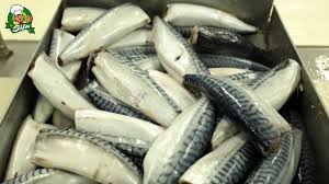 S&p industries sdn bhd was established in 1983, pioneered the manufacturing and production of instant coconut milk powder in malaysia. Seafood Valley Enterprise Sdn Bhd Frozen Food Manufacturer