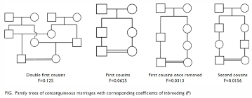 Parental Consanguinity In Hong Kong Hkmj