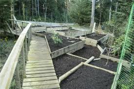 This Is Beyond My Capabilites Garden Boxes Veggie Garden Garden Boxes Raised