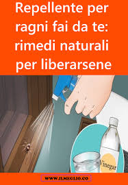 Repellente Per Ragni Fai Da Te Rimedi Naturali Per Liberarsene Nel 2020 Rimedi Naturali Rimedi Repellente