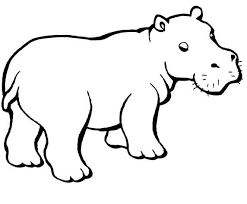 Hippo Coloring Page Hippo Tattoo Hippo Drawing Animal Caricature
