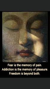 Judge not the whole based