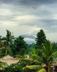 View Of Mount Agung Picture Of Yellow Flower Cafe Ubud Tripadvisor
