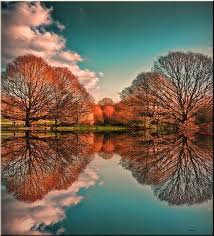 | meaning, pronunciation, translations and examples. Reflection Hampstead Heath London Travelbird Beautiful Nature Nature Photography Landscape Photography