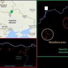 Utility room storage ideas ukrainian easter 2021 : Pdf Forest As Stronghold Of Local Ecological Practice Currently Used Wild Food Plants In Polesia Northern Ukraine