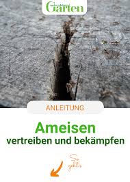 Ameisen Vertreiben Und Bekampfen In 2020 Garten Pflanzen Ameisen Garten Bepflanzen