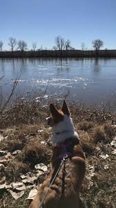 The first tee is located behind bathrooms on the corner of the basketball court. My 1 Year Old Corgi And Me At English Landing Park In Parkville Mo Anyone Ever Been Here Or At The Parkville Nature Sanctuary Missouri