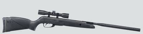 Gamo silent cat air rifle vs raptor whisper. Gamo Air Rifles Welcome To The 1 Top Rated Air Gun Superstore In The Usa