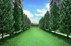 Jeff brown uses his technology and investing expertise to help everyday investors pinpoint. Brownstone Ec Site Plan Official Brownstone Ec Design