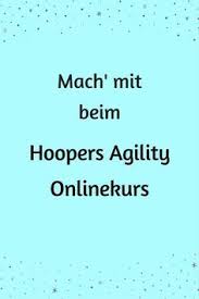 In Diesem Kurs Lernst Du Wie Hoopers Agility Funktioniert Wie Du Dir Deinen Eigenen Parcours Baust Und Wirst Schritt Fur Schritt Zum Hoop Lernen Online Machs