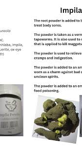 Image result for Callilepis laureola