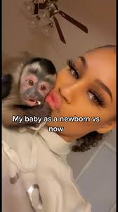 Newborn Monkey Just Born As Pets