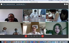 ECOSUR y el Instituto Tecnológico del Valle del Yaqui firman convenio de  colaboración