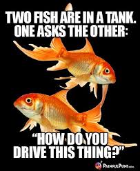 Two Fish Are In A Tank One Asks The Other How Do You Drive This Thing Fishing Puns Funny Fishing Jokes Funny Animal Jokes