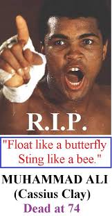 Question in regards to Muhammad Ali developing Parkinson's disease, I heard  speculation, that his fight with Earnie Shavers, that was the fight that  contributed the most to him developing Parkinson's, that was