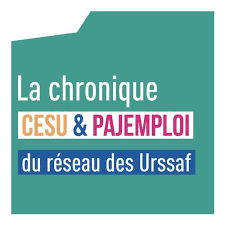 cesu prelevement a la source vous faites partie de ces particuliers qui emploient des personnes à domicile via le dispositif cesu ? Spot N 1 Prelevement A La Source Pour Les Particuliers Employeurs By La Chronique