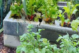 Maybe you would like to learn more about one of these? Raised Bed Vegetable Garden Concrete Blocks Planter For Small Spaces