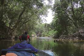 You arrive excited and leave rejuvenated. Camping At Taman Negara S Keniam River Expatgo