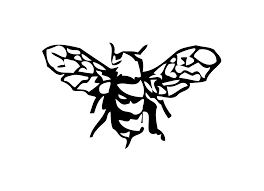Explore tweets of warm sweet honey @warmsweethoney1 on twitter. 7 755 And Counting Sweet Sticky Take Aways From My First Copywriting Course Launch Honey Copy