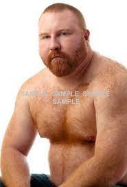 Gay Ginger Bear Art - Etsy