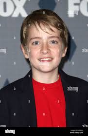 Fox connor hi-res stock photography and images