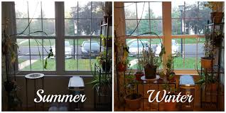 Gardeners.com has been visited by 10k+ users in the past month Bringing The Garden Indoors Advice From The Herb Lady