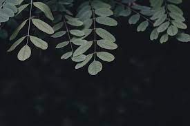 Download 4k wallpapers of minimal backgrounds, minimalist, minimalism in hd, 4k, 5k high quality resolution for desktop & mobile phones. Minimalist Wallpapers Free Hd Download 500 Hq Unsplash