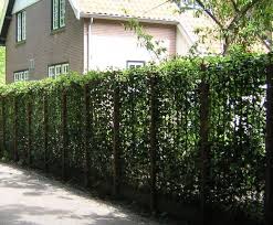 Pin Auf Zaun24 Online Shop Fur Zaune Garten Einfahrtstore