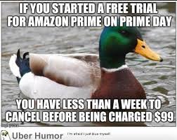 Opting for the steeper, upfront cost will save you about $37 over the monthly price. Reminder For Everyone Who Fell For The Amazon Prime Day Hype Funny Pictures Quotes Pics Photos Images Videos Of Really Very Cute Animals