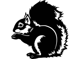 Black And White Squirrel Like Animal Squirrel Animal Cute Wildlife Nature Mammal Isolated Funny Etsy Animals Black And White Silhouette Art Squirrel