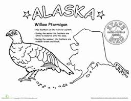 Equality before the law origin of name: Bird Coloring Pages Printables Education Com