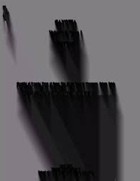 Image result for Tragia lasiophylla