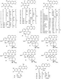 Image result for Zanthoxylum usambarense