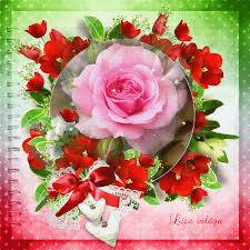 GIFS HERMOSOS: FLORES ENCONTRADAS EN LA WEB | Flores pintadas, Flores,  Flores bonitas