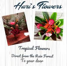 Luxury flowers delivered by moyses stevens, luxury florists since 1876. M R Wooden Flowers Home Facebook
